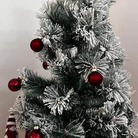 Kristina Dunajská Streda